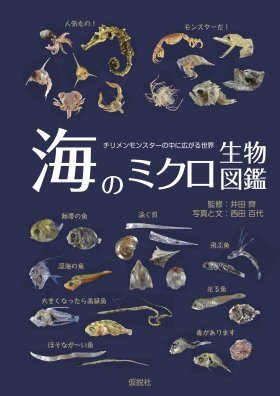 専用☆世界の甲殻類「Crustacea Guide of the World」-