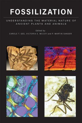 Fossilization Understanding The Material Nature Of Ancient Plants And Animals