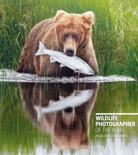 写真集 Wildlife Photographer of the Year 6冊 Wildlife Photographer of the Year: Highlights, Volume 6 | NHBS