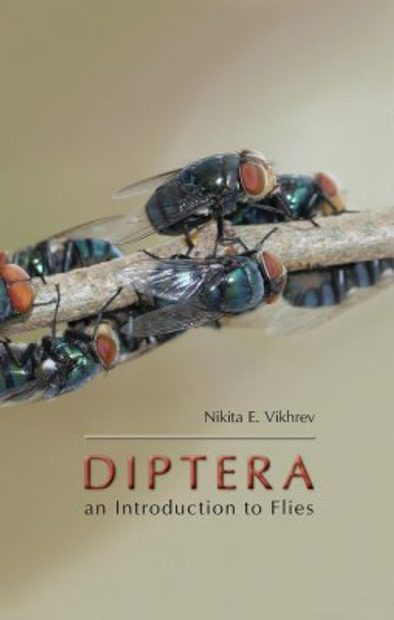 Diptera An Introduction To Flies Nhbs Good Reads