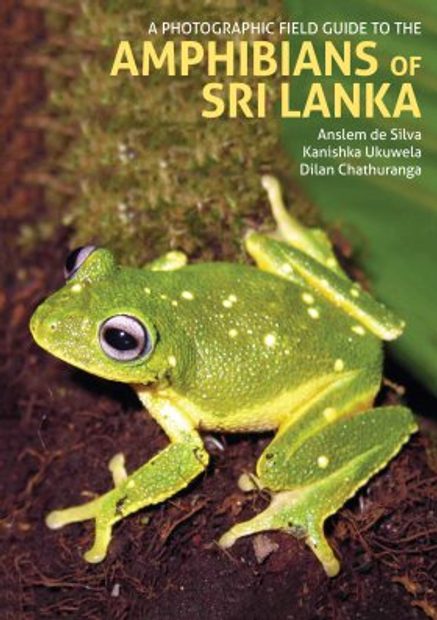 A Photographic Field Guide to the Amphibians of Sri Lanka | NHBS Field Guides & Natural History A Photographic Field Guide to the Amphibians of Sri Lanka | NHBS Field Guides & Natural History