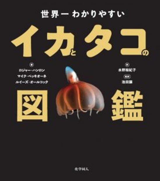 Sekaiichi Wakari Yasui Ikatotako No Zukan Octopus Squid Cuttlefish A Visual Scientific Guide To The Oceans Most Advanced Invertebrates Nhbs Academic Professional Books