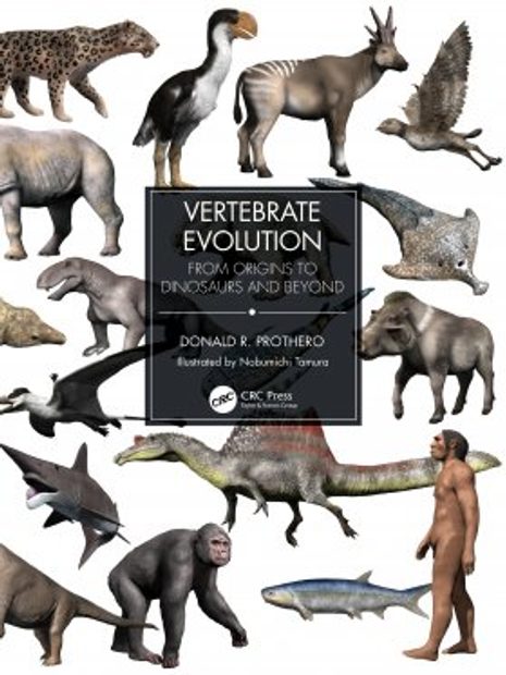 Vertebrate Evolution: From Origins to Dinosaurs and Beyond | NHBS Academic  & Professional Books