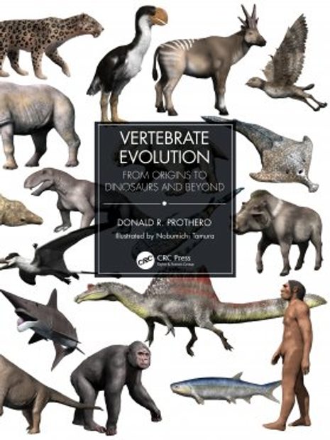 Vertebrate Evolution: From Origins to Dinosaurs and Beyond | NHBS Academic & Professional Books Vertebrate Evolution: From Origins to Dinosaurs and Beyond | NHBS Academic & Professional Books