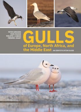 洋書 Gulls of Europe, Asia and North America Stella & Rose's Books