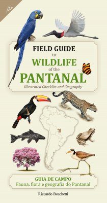 Patagonia Clothing Checklist – Pantanal Photo Tours