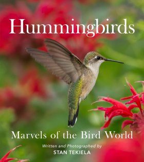 Hummingbirds: Marvels of the Bird World | NHBS Field Guides & Natural  History