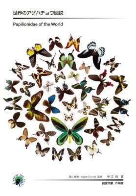 Papilionidae of the World [Japanese] | NHBS Field Guides