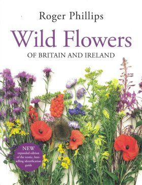 Wild Flowers of Britain and Ireland | NHBS Field Guides & Natural