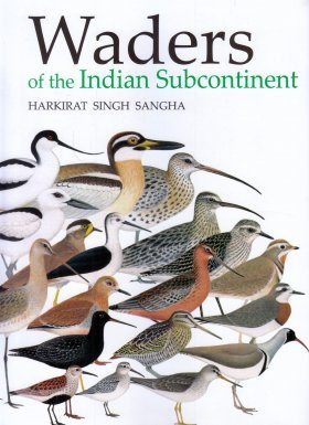 Waders of the Indian Subcontinent | NHBS Field Guides