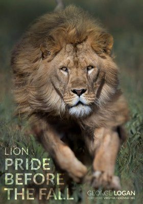 Lion pride before the fall ライオン写真集 Lion: Pride Before the Fall | NHBS Field Guides & Natural History
