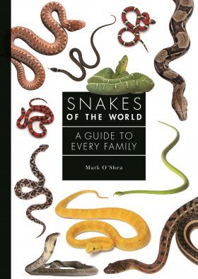 Snakes of the World: A Guide to Every Family | NHBS Field