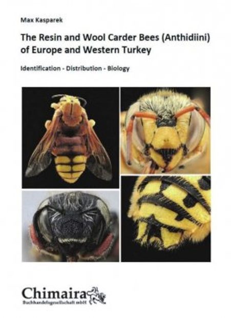 European wool carder bee, Other species detected, Pest insects and mites, Biosecurity