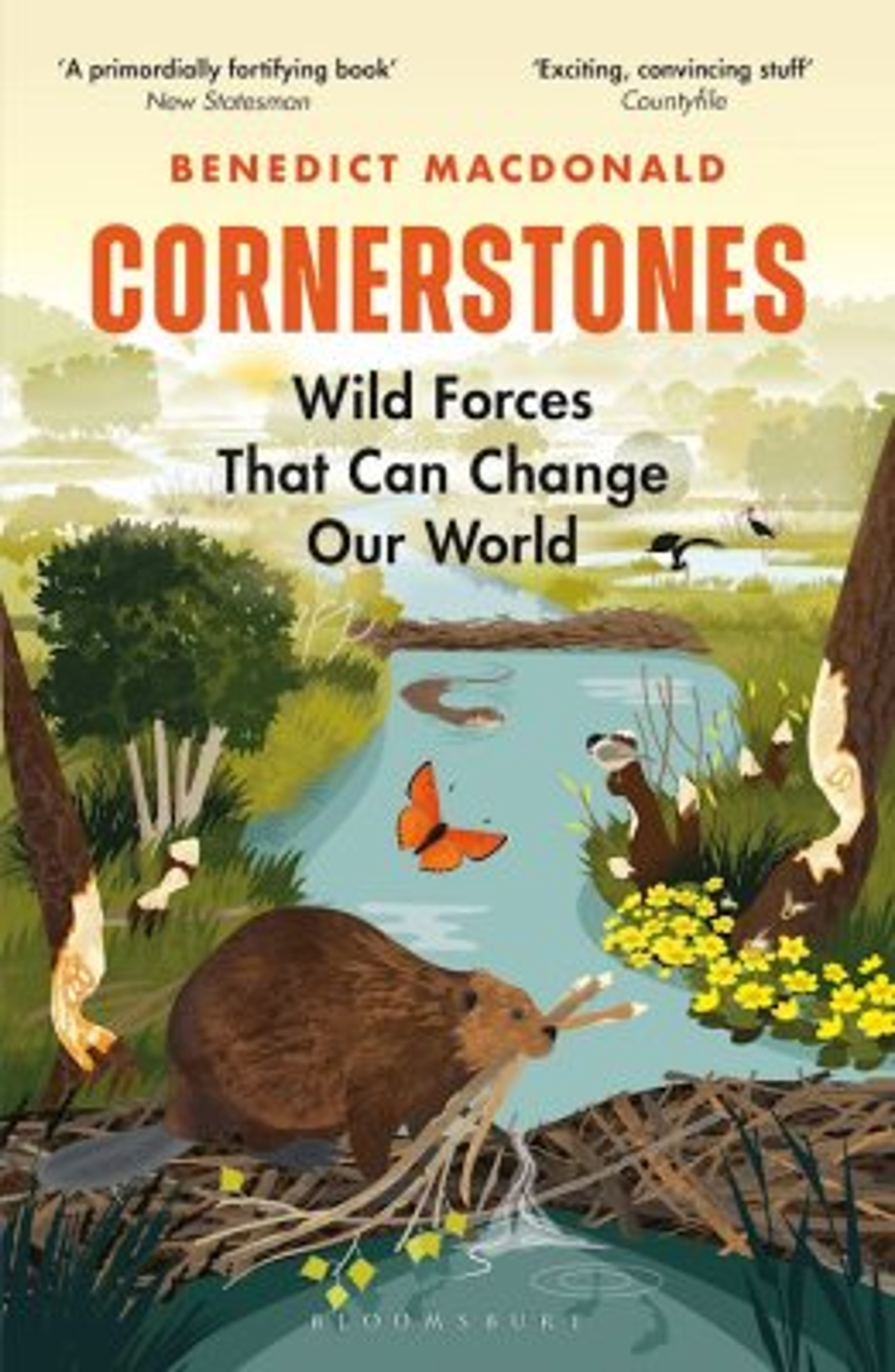 Our　Cornerstones:　That　World　Wild　Change　Forces　Can　Reads　NHBS　Good