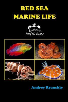 Red Sea Marine Life | NHBS Field Guides & Natural History
