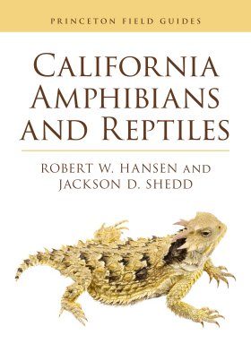 California Amphibians and Reptiles | NHBS Field Guides