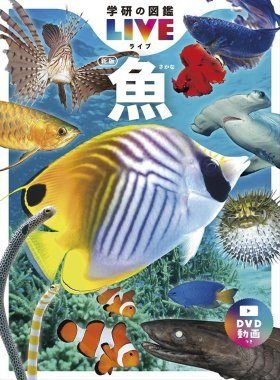 洋書　魚の図鑑　The National Audubon Society The Birds of America - Wikipedia