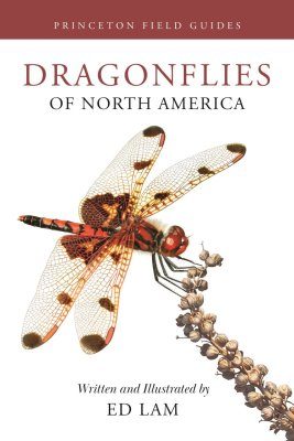 Dragonflies of North America | NHBS Field Guides & Natural History Dragonflies of North America | NHBS Field Guides & Natural History