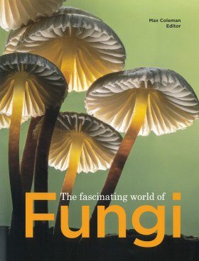 The Fascinating World of Fungi | NHBS Good Reads
