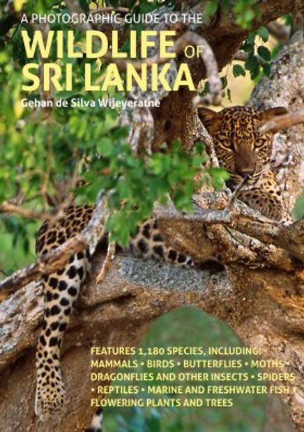 A Photographic Guide to the Wildlife of Sri Lanka | NHBS Field  