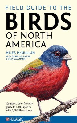 Field Guide to the Birds of North America | NHBS Field Guides