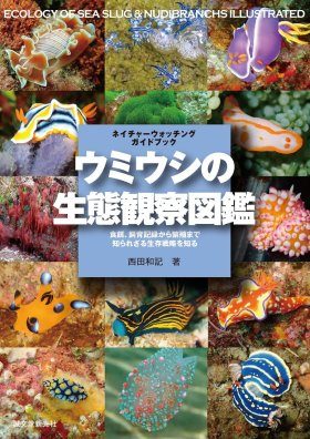 ウミウシガイドブック　洋書　美品　Nudibranchs Umiushi no Seitai Kansatsu Zukan [Ecology of Sea Slugs