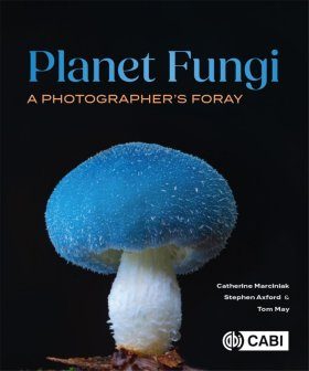 Planet Fungi: A Photographer's Foray | NHBS Good Reads