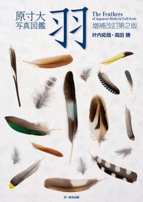 The Feathers of Japanese Birds in Full Scale [Japanese