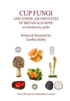 洋書 British Fungi by M. C. Cooke Mycologists and fabulous fungi: colour illustrations | Latest News