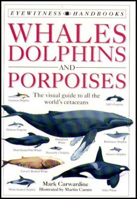 Eyewitness Handbook Whales Dolphins And Porpoises Mark