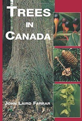 Trees in Canada | NHBS Field Guides & Natural History