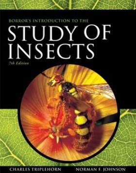 An Introduction To The Study Of Insects D Borror C