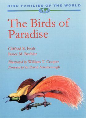 Birds Of Paradise Paradisaeidae Clifford B Frith Bruce