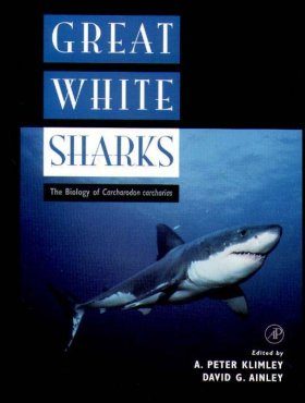 Great White Sharks The Biology Of Carcharodon Carcharias