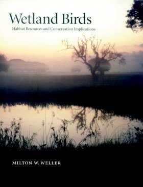 Wetland Birds Habitat Resources And Conservation