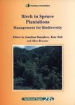 Birch in Spruce Plantations