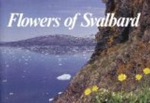 Flowers of Svalbard