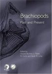 Brachiopods
