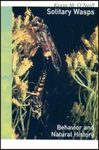 Solitary Wasps