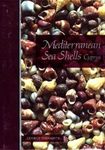Mediterranean Sea Shells - Cyprus