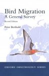 Bird Migration