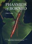 Phasmids of Borneo