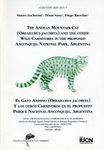 The Andean Mountain Cat (Oreailurus jacobita) and the Other Wild Carnivores in the Proposed Anconquija National Park, Argentina / El Gato Andino (Oreailurus jacobita) y los Otros Carnivoros en el Propuesto Parque Nacional Anconquija, Argentina