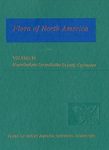 Flora of North America North of Mexico, Volume 23: Magnoliophyta: Commelinidae (in part): Cyperaceae