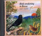 Birds Awakening in Bresse / Le Réveil des Oiseaux en Bresse
