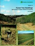 Forest Tree Seedlings