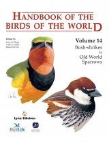 handbook of the birds of the world vol 16