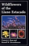 Wildflowers of the Llano Estacado