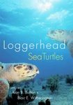 Loggerhead Sea Turtles