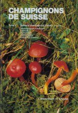 FUNGI OF SWITZERLAND Volume 6 Russulacceae from Summerfield